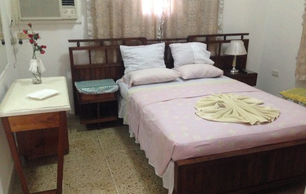 Appartamento Minerva